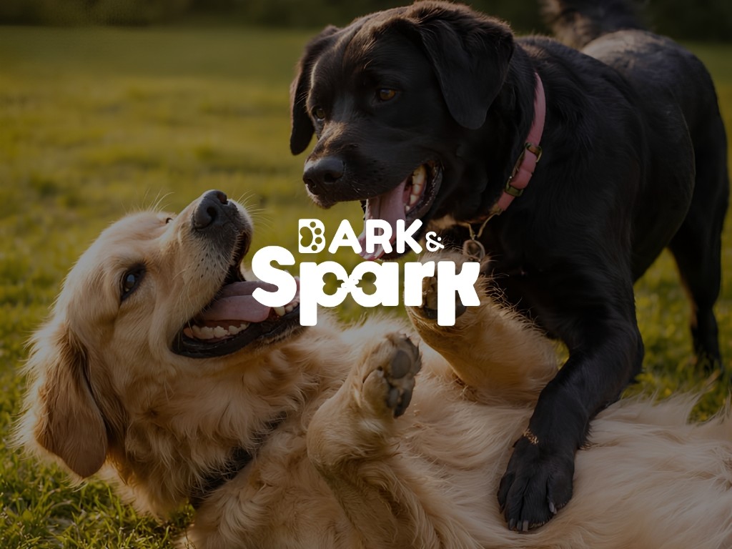 Bark and Spark — campaign by Flexora Studio
