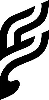 Flexora Studio logo